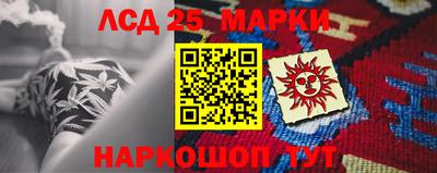 индика Славгород