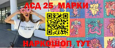индика Славгород