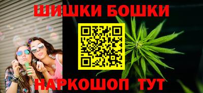 индика Славгород