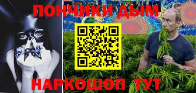 индика Славгород