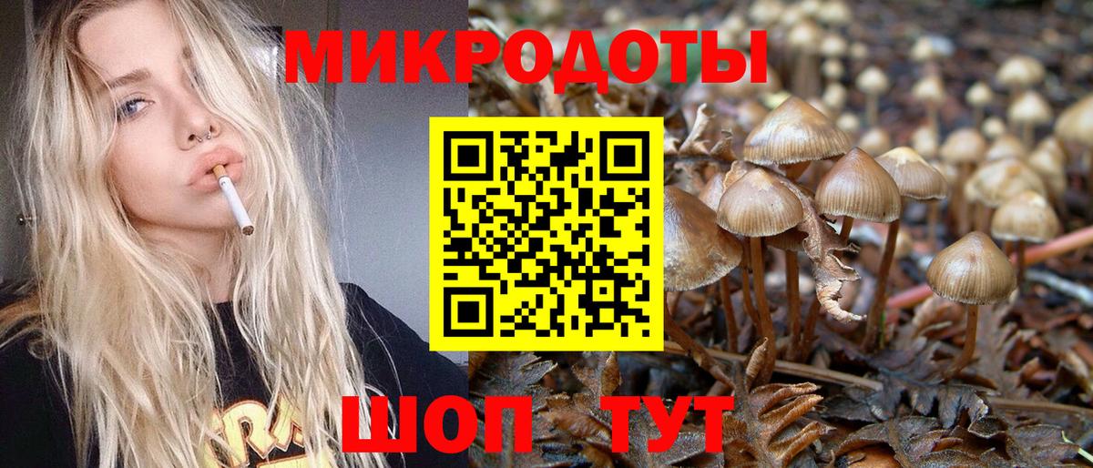 Псилоцибиновые грибы Psilocybine cubensis  Псилоцибиновые грибы ЛСД  Белорецк  Вход с VPN 